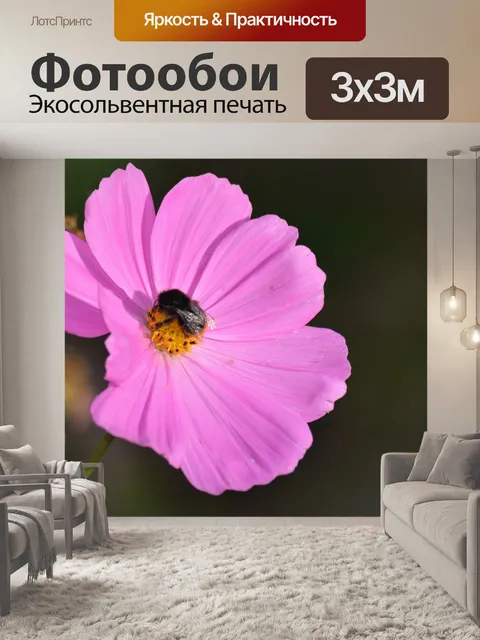 Фотообои Космос