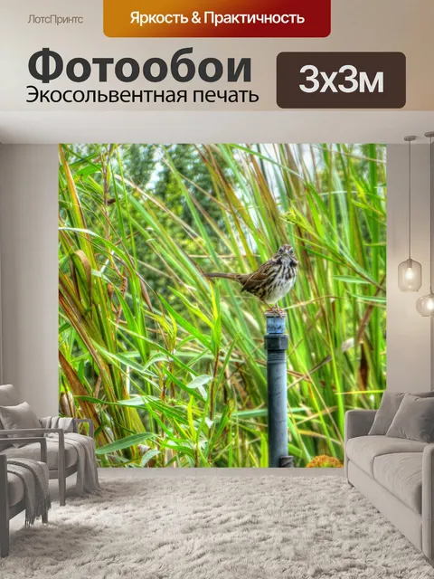 Фотообои Воробей на стол