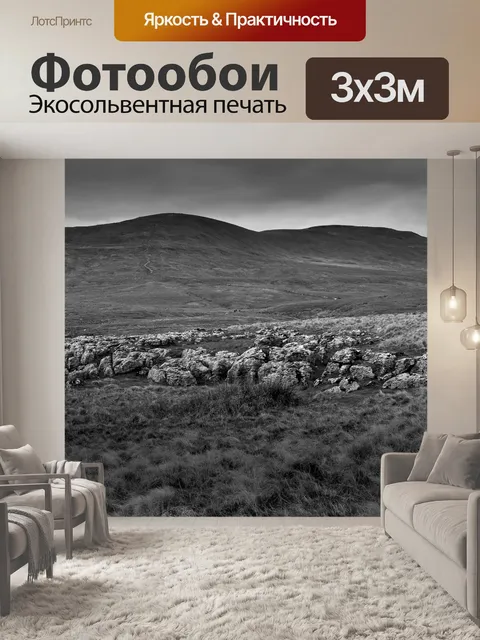 Фотообои Черное и белое