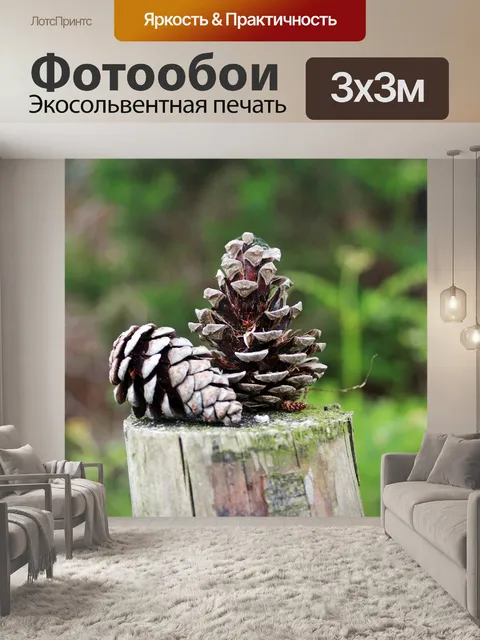 Фотообои Лес