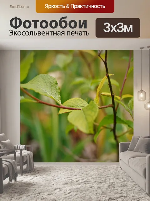 Фотообои Вилка