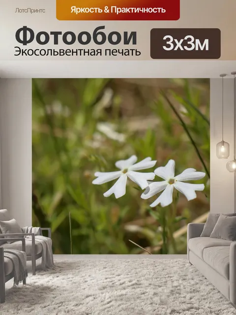 Фотообои Цветы