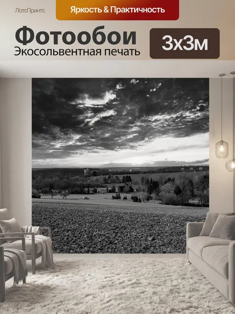 Фотообои Черно-белый
