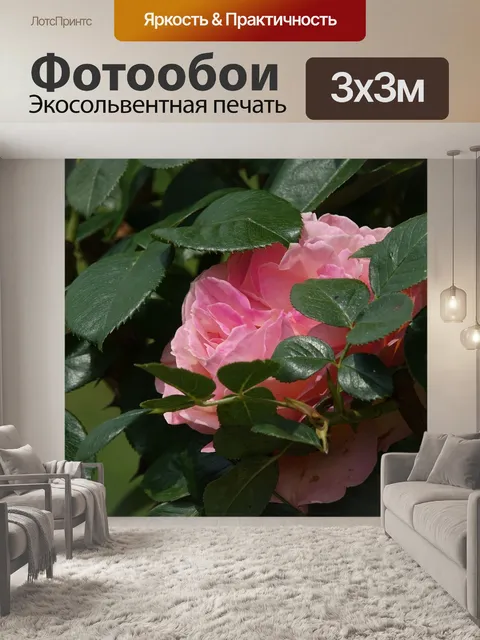 Фотообои Розовый