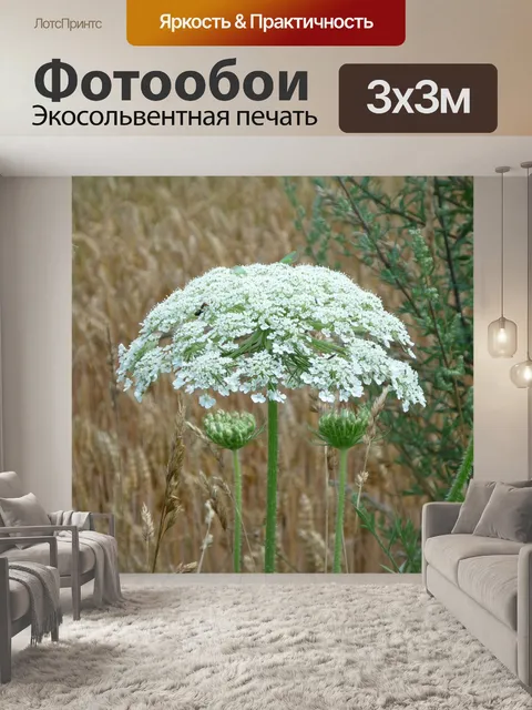 Фотообои Трава геркулеса