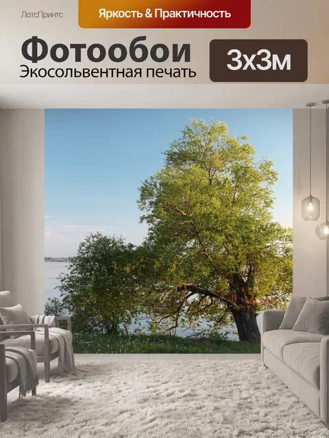Фотообои Дерево