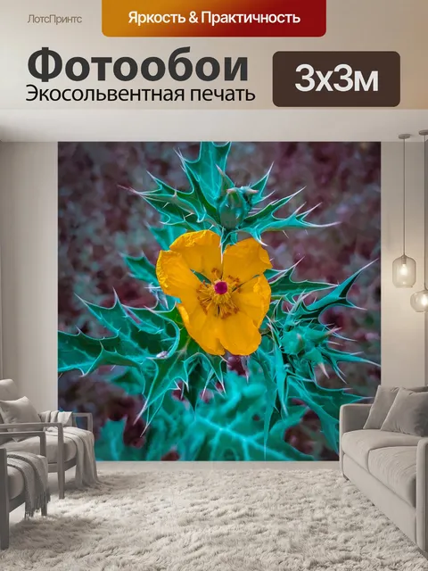Фотообои Цветы