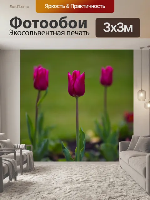 Фотообои Цветы