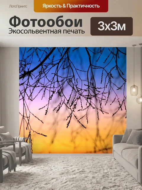 Фотообои Ветки закат небо фото