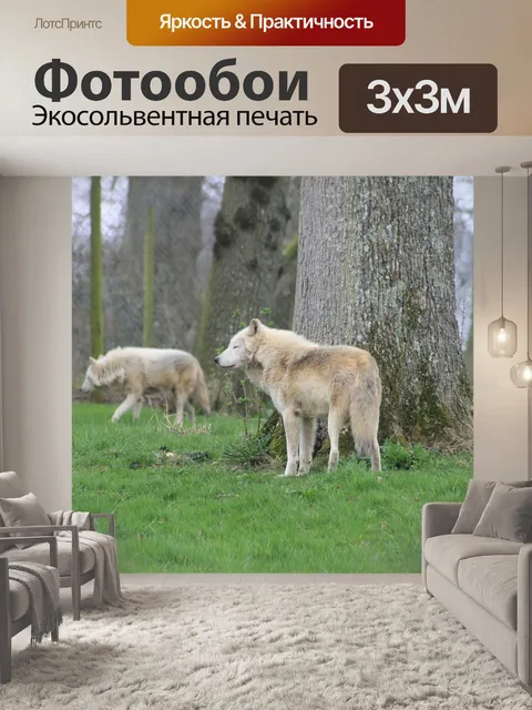 Фотообои Волки
