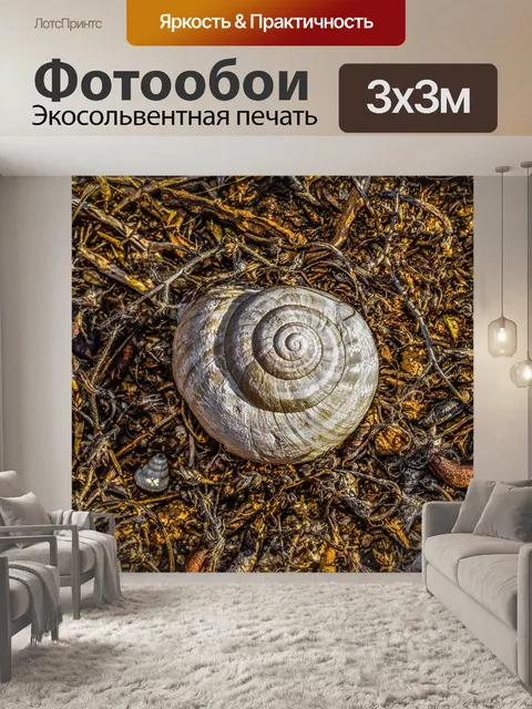 Фотообои Оболочка