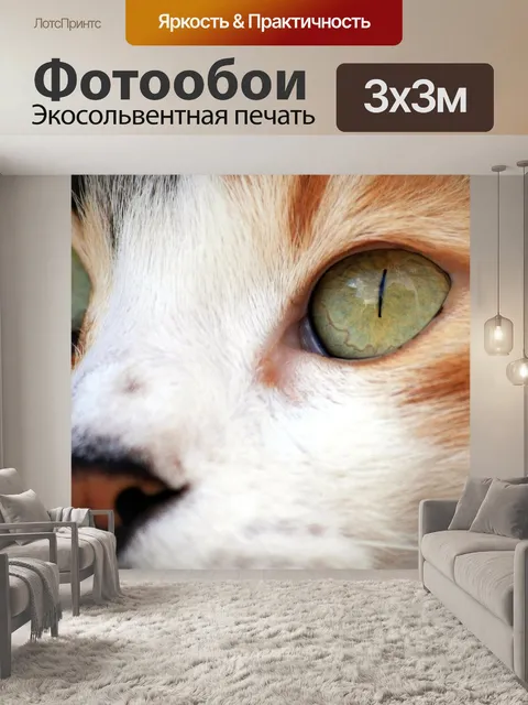 Фотообои Кошка