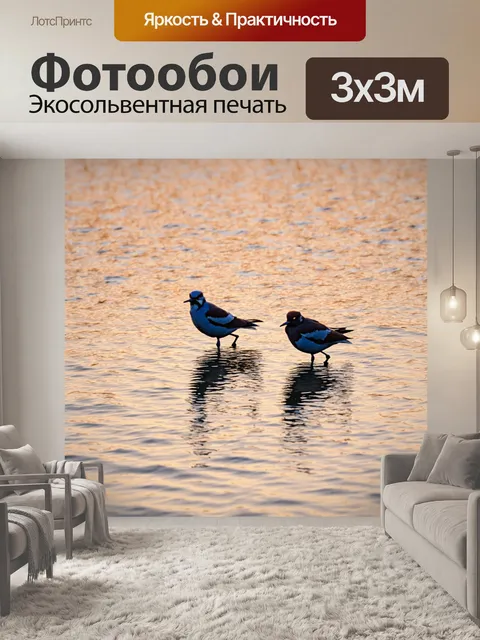 Фотообои птицы у озера на рассвете
