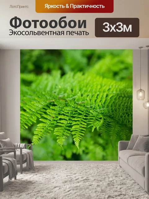 Фотообои папоротник