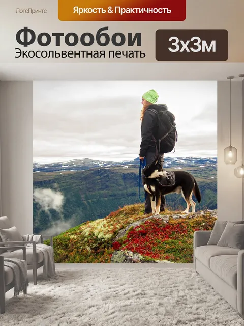 Фотообои Собака