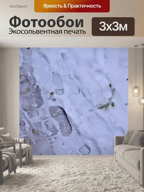Фотообои Слякоть и следы