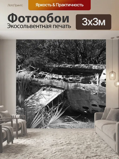 Фотообои Scout бомбардировщик