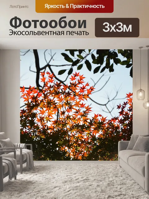 Фотообои Клен