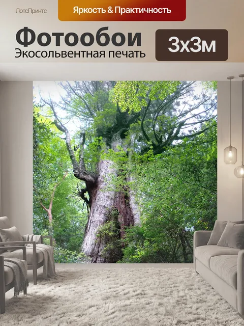 Фотообои Дерево