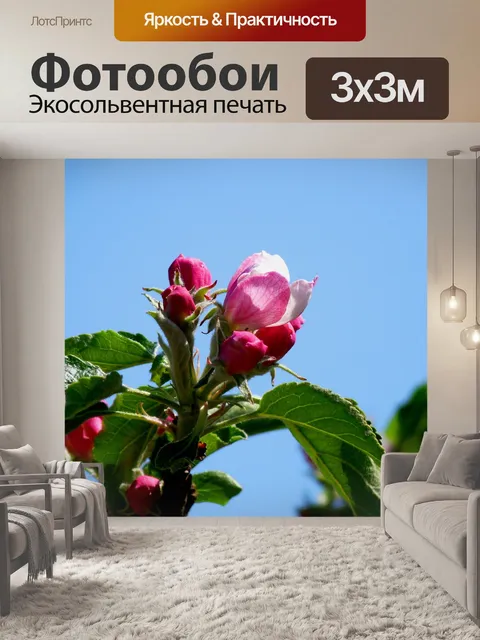 Фотообои Blossom
