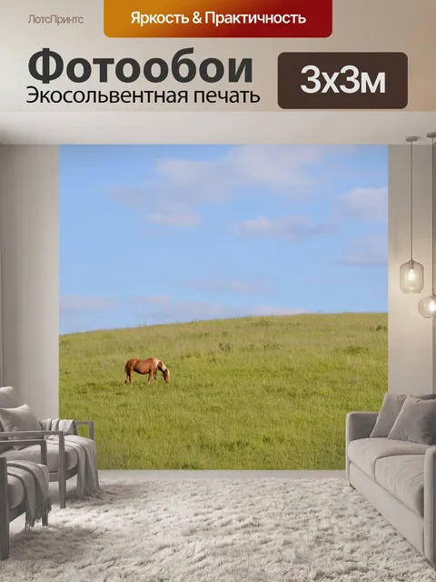 Фотообои Лошадь