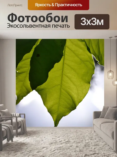 Фотообои Листья