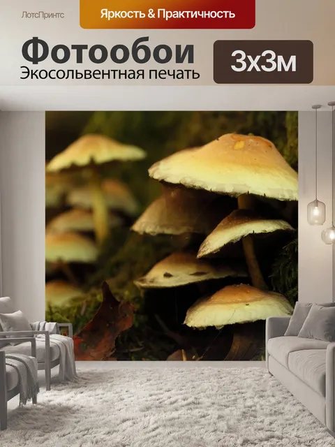 Фотообои Лес