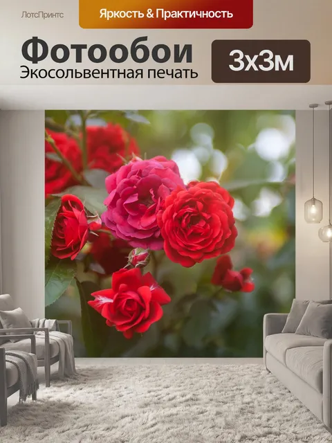 Фотообои Садовые розы