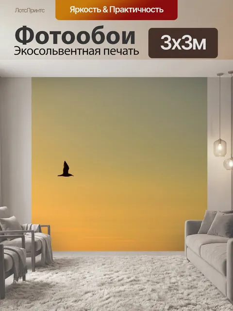 Фотообои Птица в закат небо