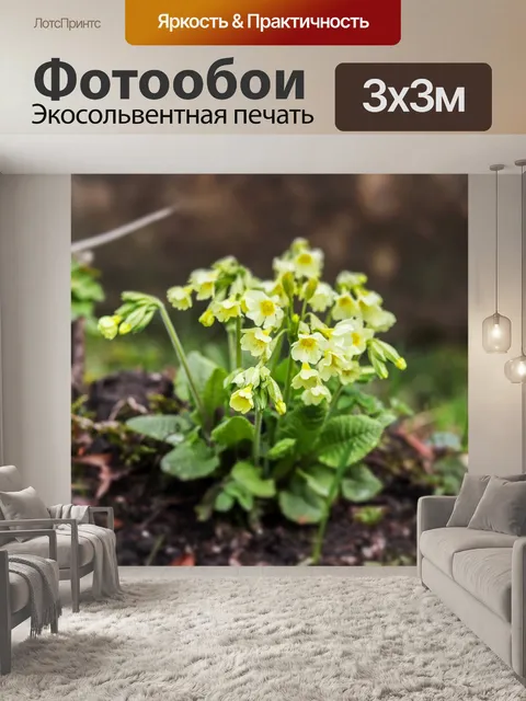 Фотообои Цветы