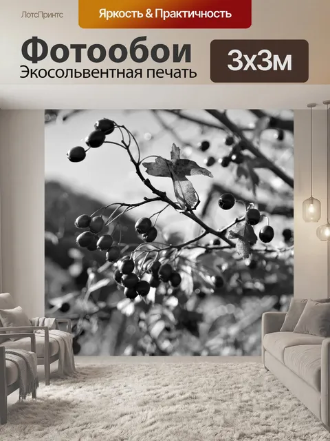 Фотообои Фрукты