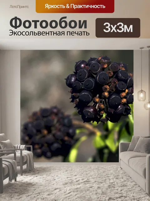 Фотообои Флора