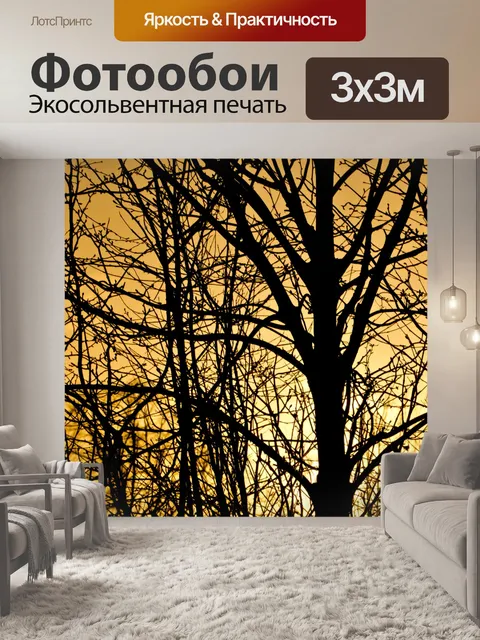 Фотообои Дерево и закат