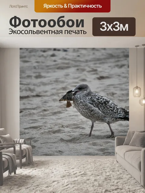 Фотообои Птица