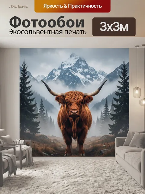 Фотообои Шотландский бык в горах