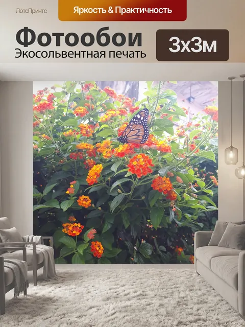 Фотообои Бабочка