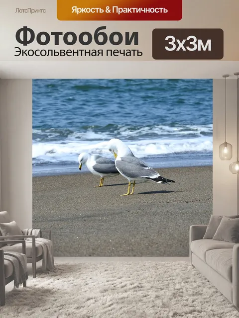 Фотообои Животное