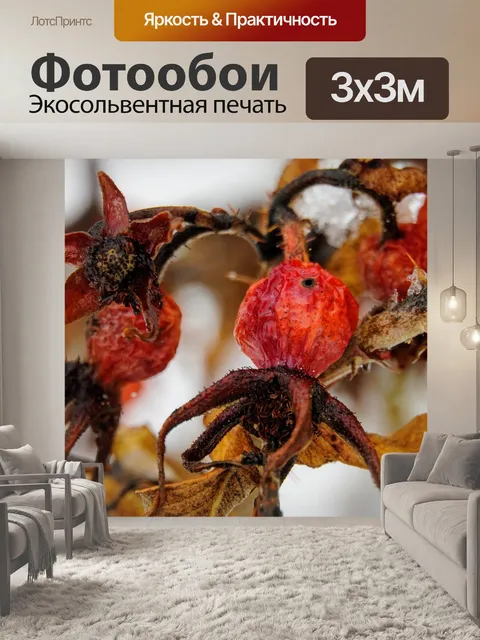 Фотообои Цветок