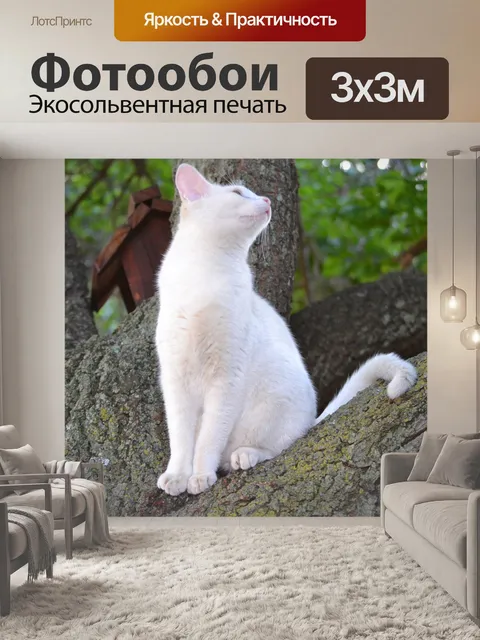 Фотообои Кошка