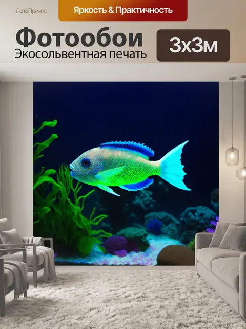 Фотообои подводное волшебство