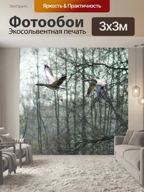 Фотообои Гуси