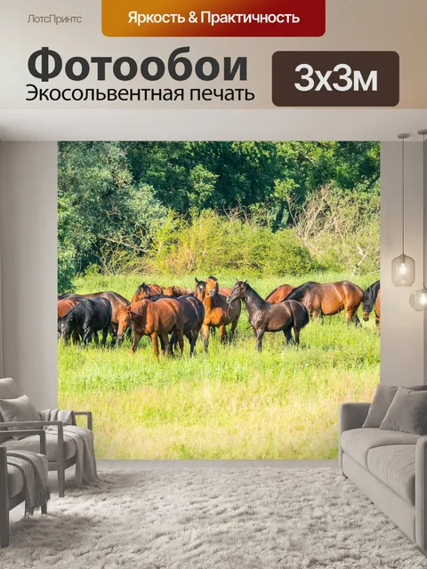 Фотообои Лошади