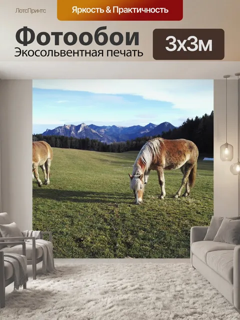 Фотообои Лошадь
