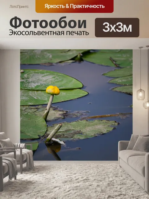 Фотообои Желтая кувшинка