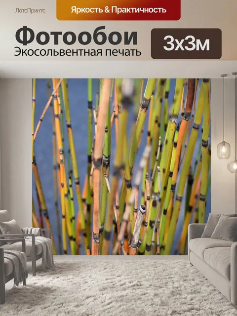 Фотообои Сад