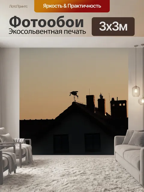 Фотообои Птица
