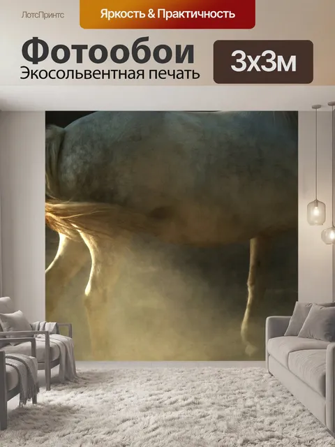 Фотообои Лошадь