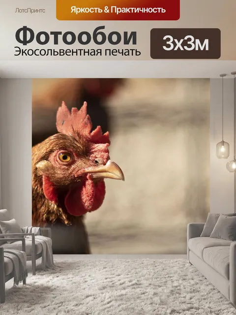Фотообои Куры