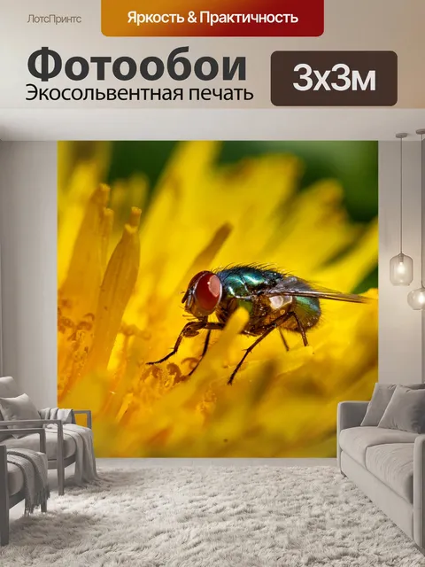 Фотообои Летать