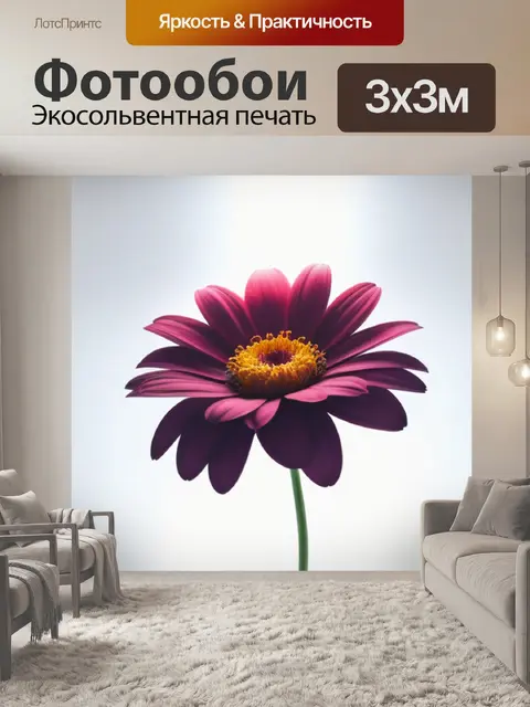 Фотообои с цветком на белом красивый